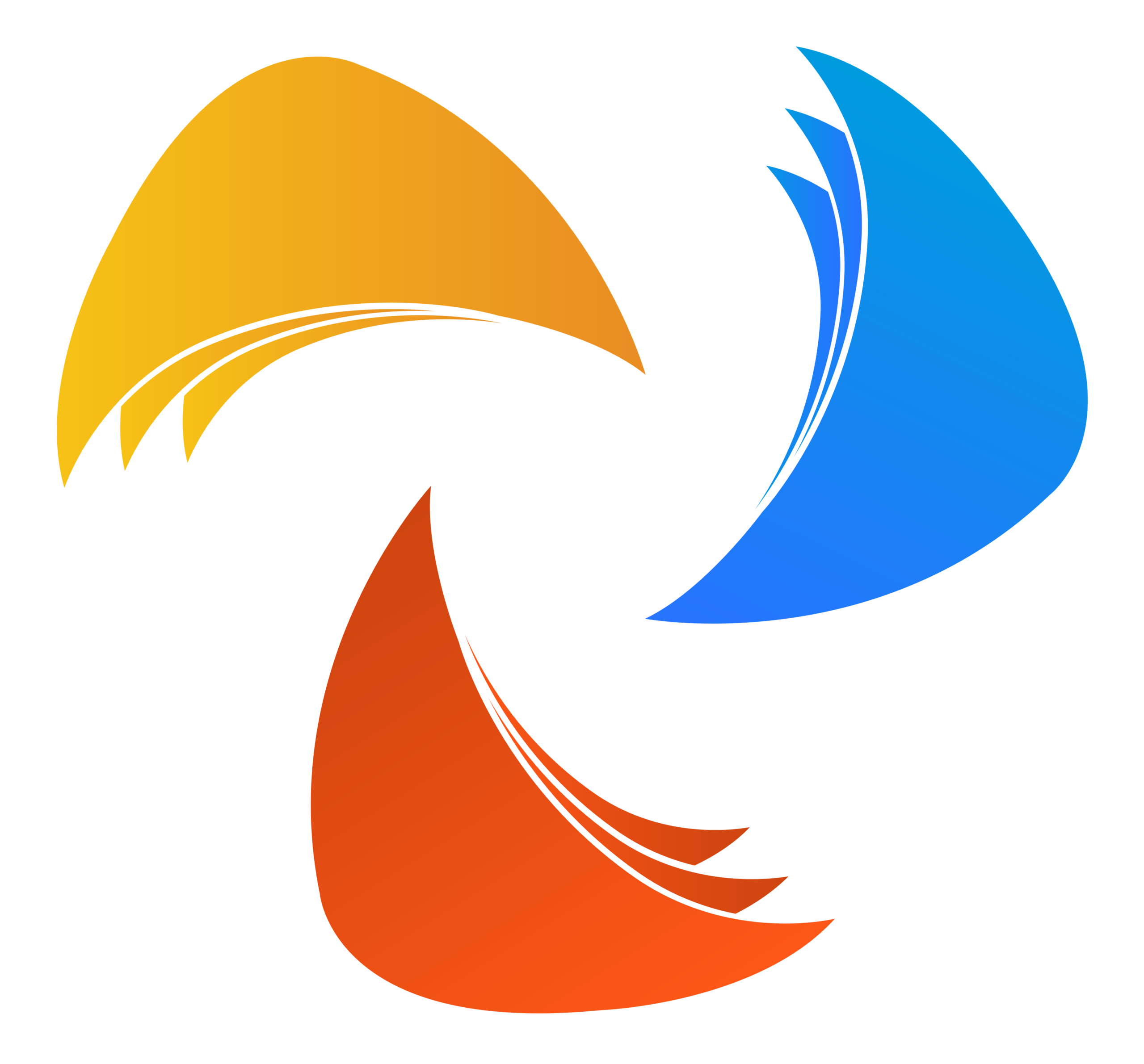 Naser Sobhan Logo